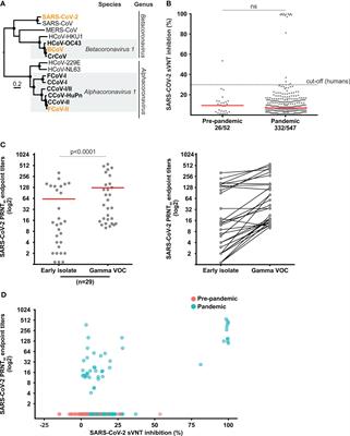 Frequent Infection of Cats With SARS-CoV-2 Irrespective of Pre-Existing Enzootic Coronavirus Immunity, Brazil 2020